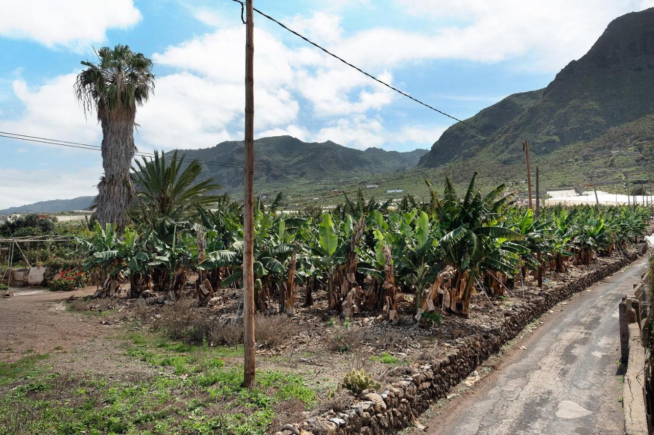 Casa El Cardon B2 Villa Buenavista Del Norte Exteriör bild